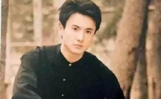 娱乐圈吃瓜大合集杨洋,娱乐圈风云变幻中的璀璨星辉