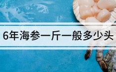 6年海参一斤一般多少头野生海参500g一斤