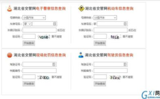 成都电子警察交通违章查询系统,便捷多途径，守护交通秩序
