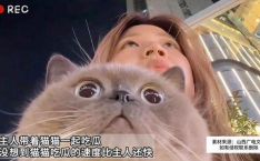 娱乐吃瓜猫作品原声,原声音乐背后的故事与魅力