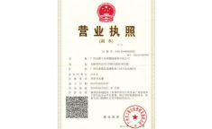 营业执照办两年了没报税,营业执照两年未报税的法律后果及应对措施