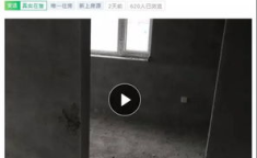 鹤岗二手房1 2万,1-2万元即可入手？揭秘东北小城房价奇迹