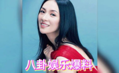 娱乐吃瓜酱明星八卦小说,吃瓜酱揭秘明星八卦秘闻