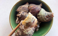 海螺怎么做好吃,多款家常做法，让你轻松享受鲜美海螺