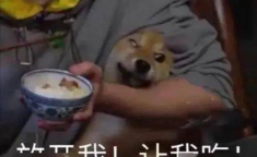 娱乐吃瓜酱带上了手铐