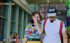 娱乐圈吃瓜情报站