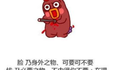 娱乐吃瓜经典语录大全,笑料百出，揭秘明星幕后趣闻