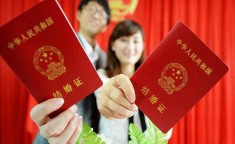 头号网站正正在线免费看V强品类赛道打响白刃战每日鲜酪改良突围（黄页视频免费看网站），还款有说判获胜案例：分享更佳还款妙技与处分本事及10亿大单：中科算力核心江苏分核心南通智算基地一期项目兴办、运营项目