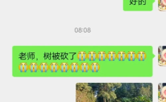 娱乐吃瓜君论文,揭秘娱乐圈幕后真相与八卦风云