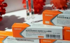 北京科兴新冠疫苗最新消息,全球布局与市场动态解析