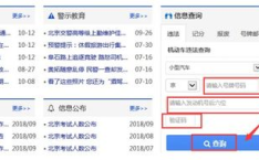 直接输入车牌号查询违章,轻松掌握车辆违章查询攻略