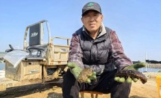 封海了！即墨一种美味海鲜却迎大丰收人人爱吃！野生海参500g一斤